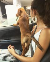 Coco car ride